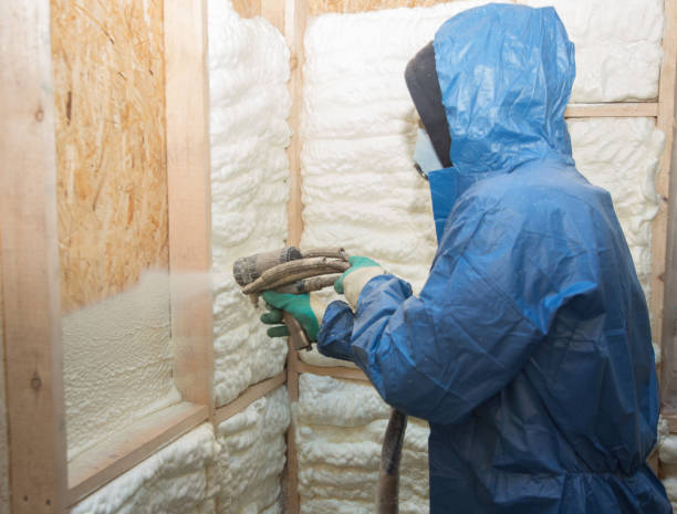 Best Basement Insulation  in Ashland, OH